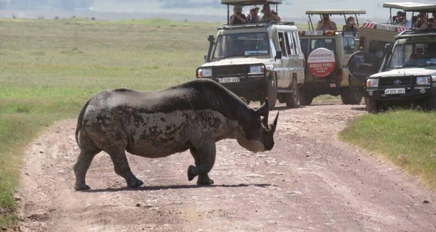 Highlights of Tanzania