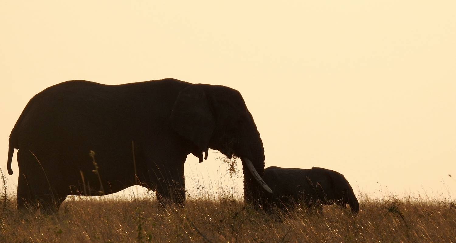 Tanzania Family Safari