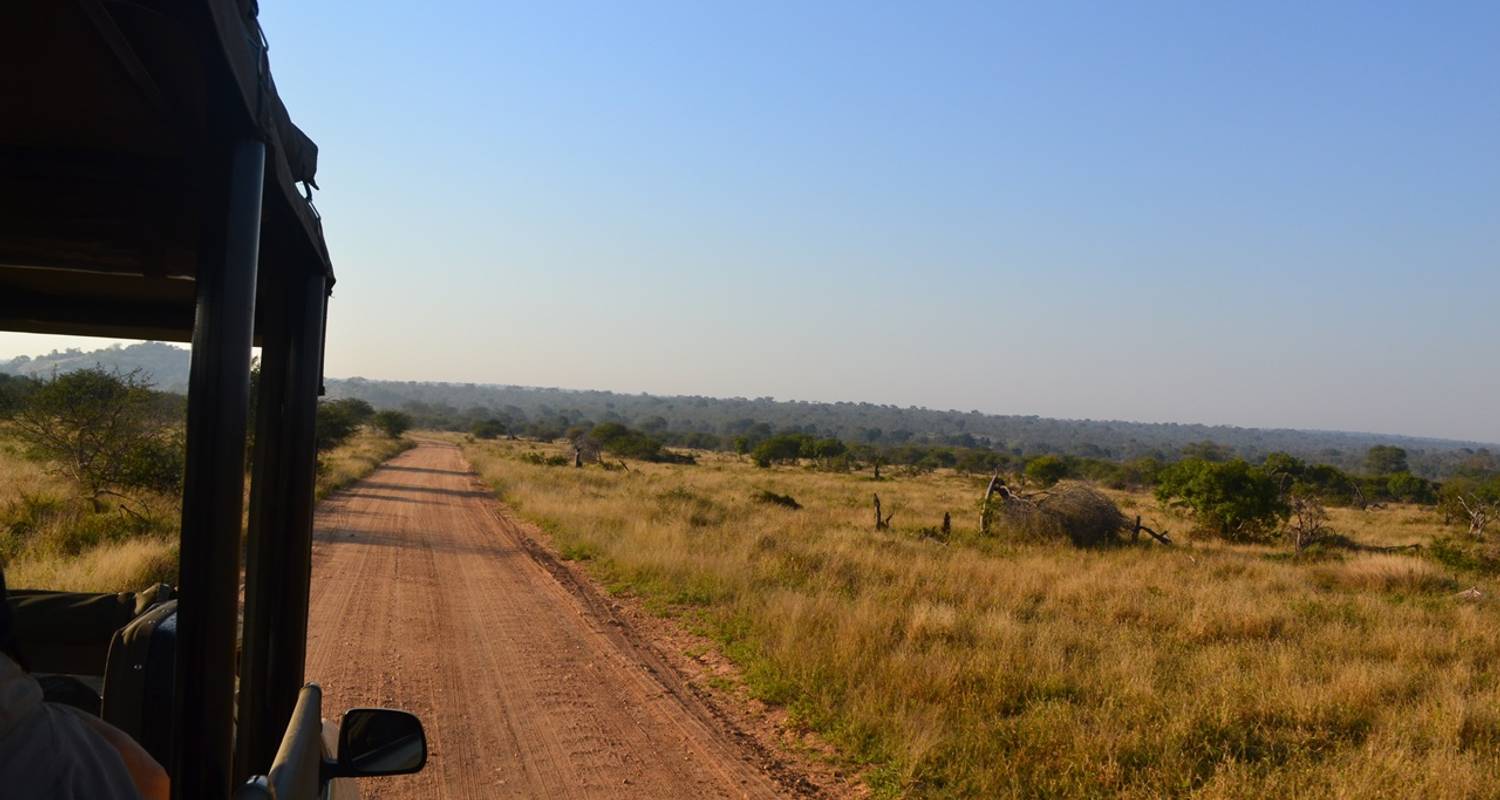 Kruger National Park Budget Safari