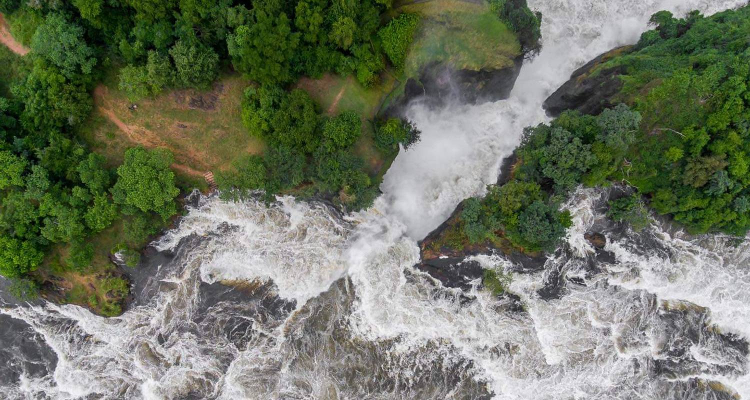 Gorillas and Source of River Nile Rafting