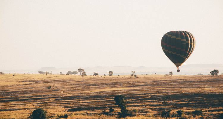 Serengeti Flying Safari