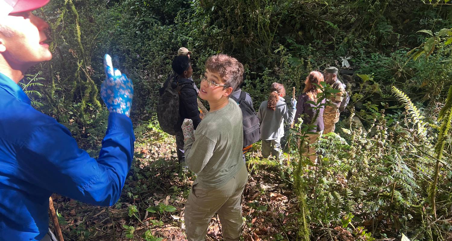 Best of Rwanda Budget Safari