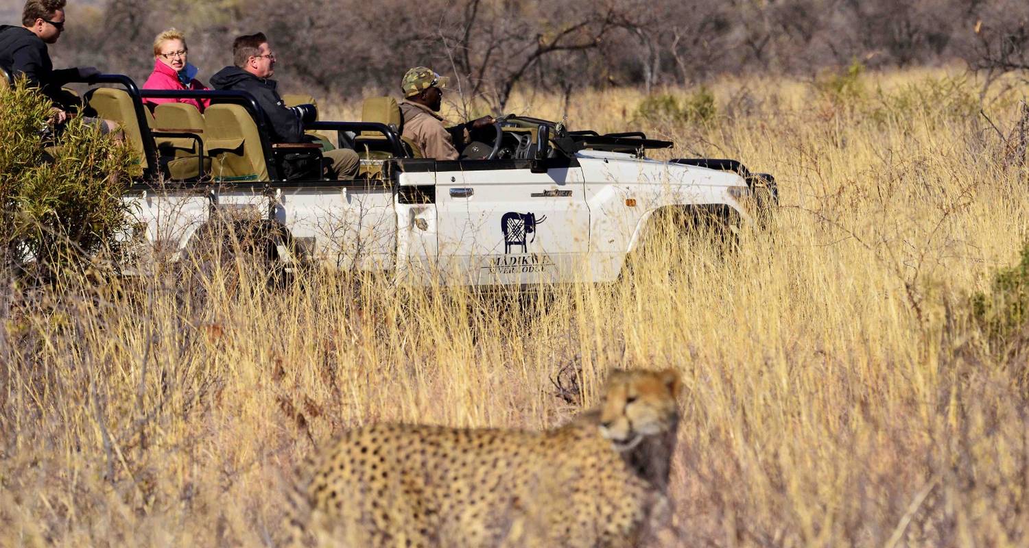 Madikwe Game Reserve & Sea Holiday