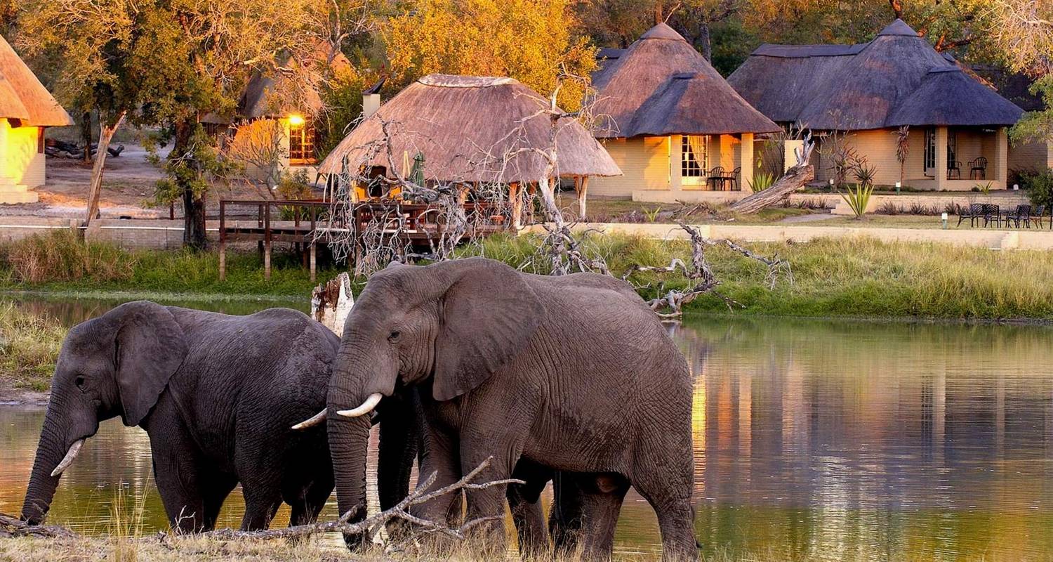 Luxury Private Kruger & Sabi Sand Safari