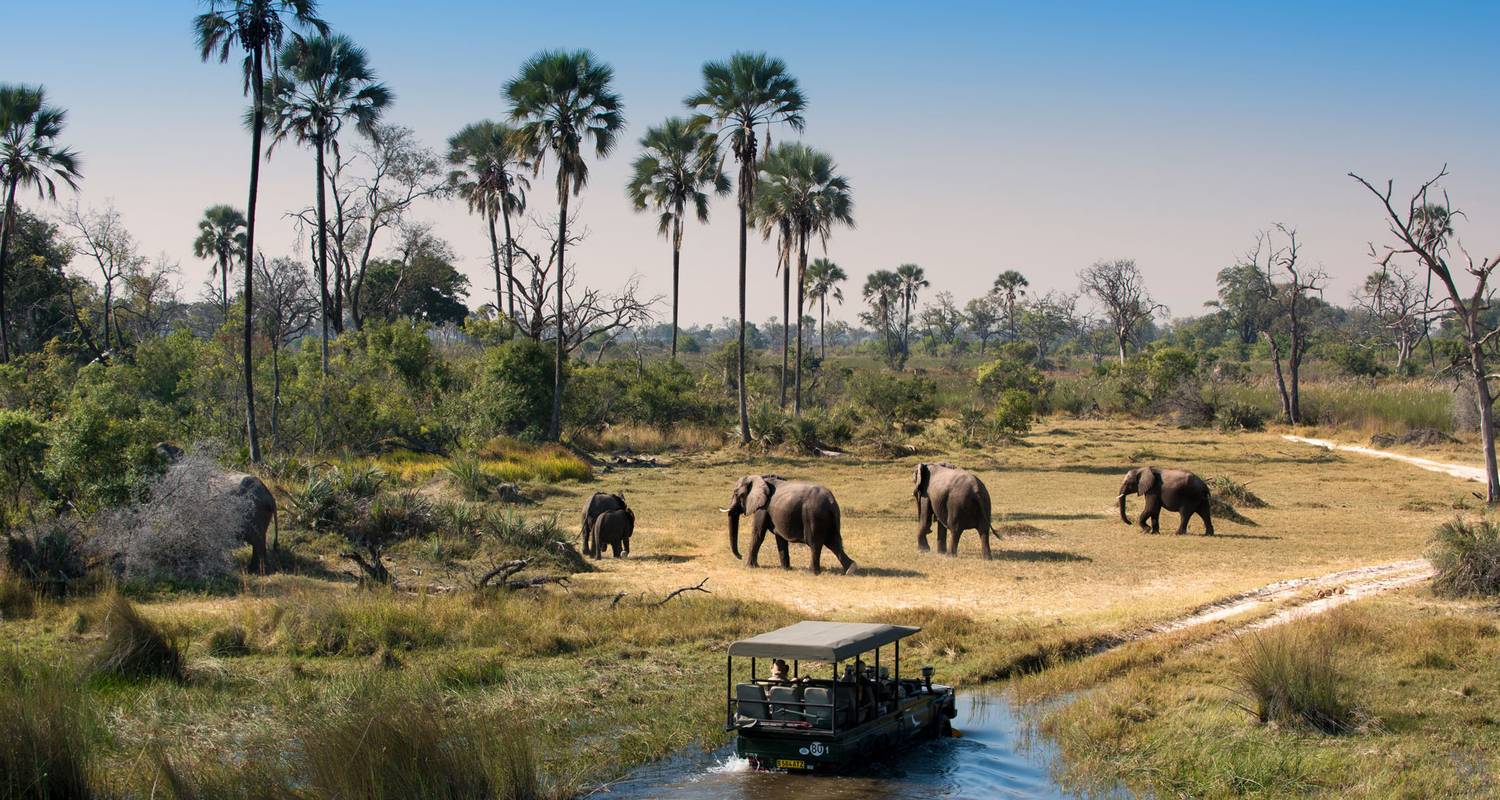 Victoria Falls, Kruger, Cape Town & Winelands