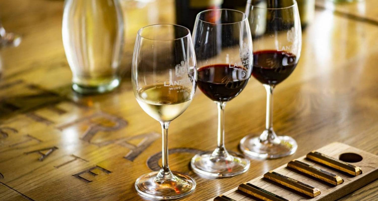 Wine Tasting Day Tour