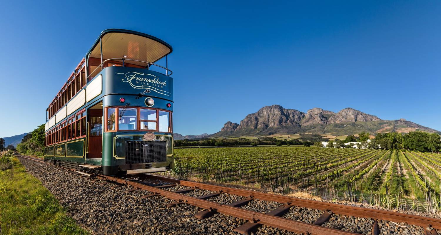 Garden Route, Cape Point & Winelands