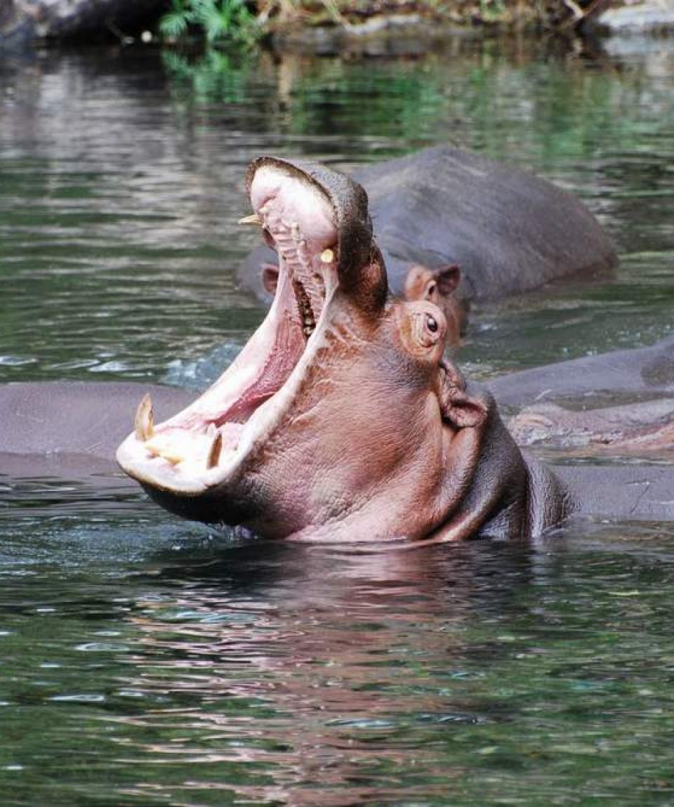 10 Days Kenya Photography Safari Package