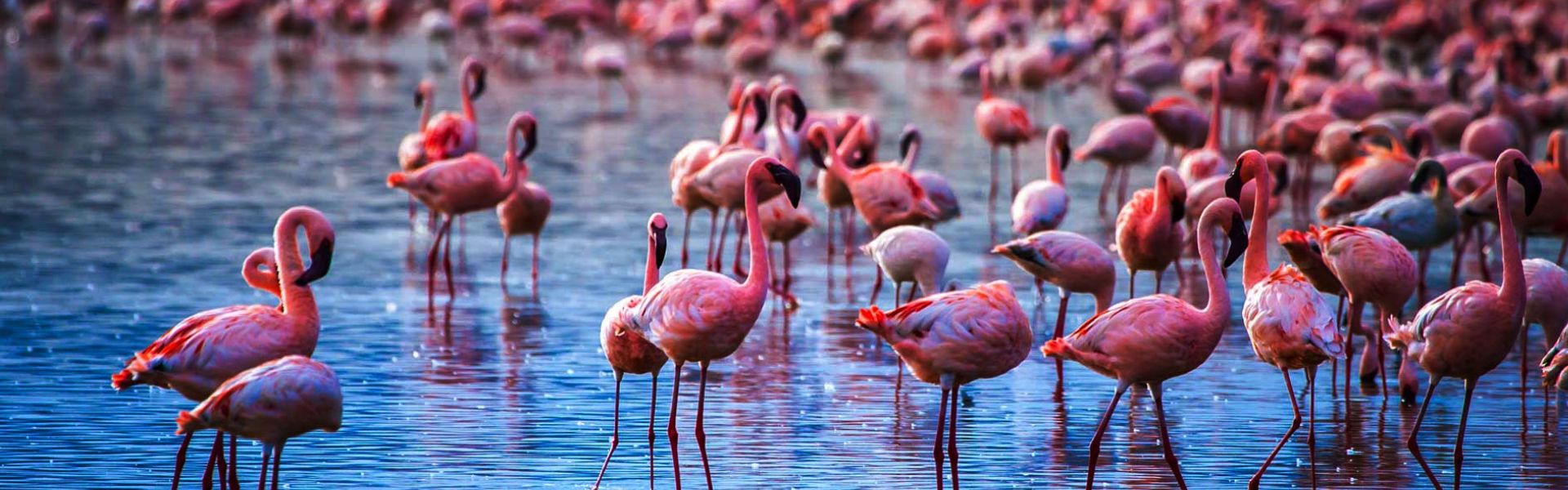 10 Day Kilimanjaro Combined Tour