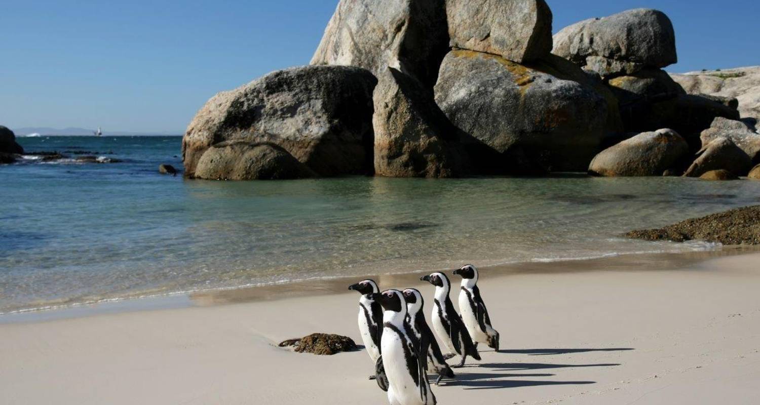 Cape Town, Kruger & Garden Route Self-Drive