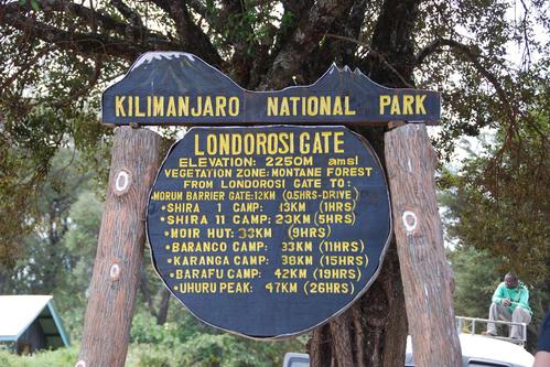 Mount Kilimanjaro Climb Lemosho Route