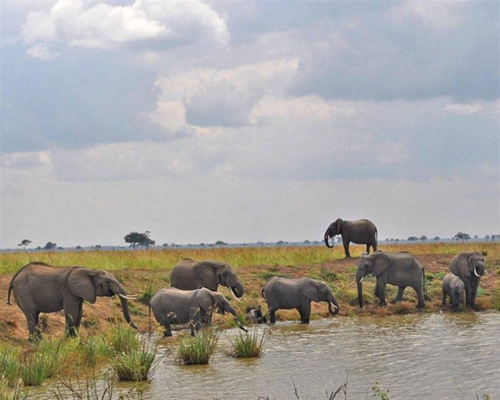 5 Days - Tarangire, Serengeti and Ngorongoro Crater