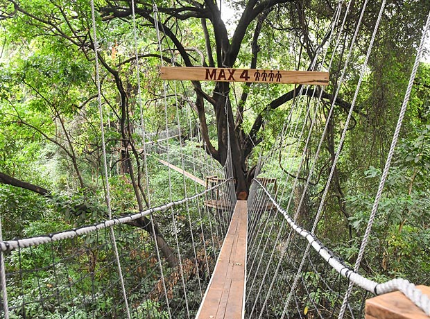 Game Drive, Canoeing & Walking at Crater Rim