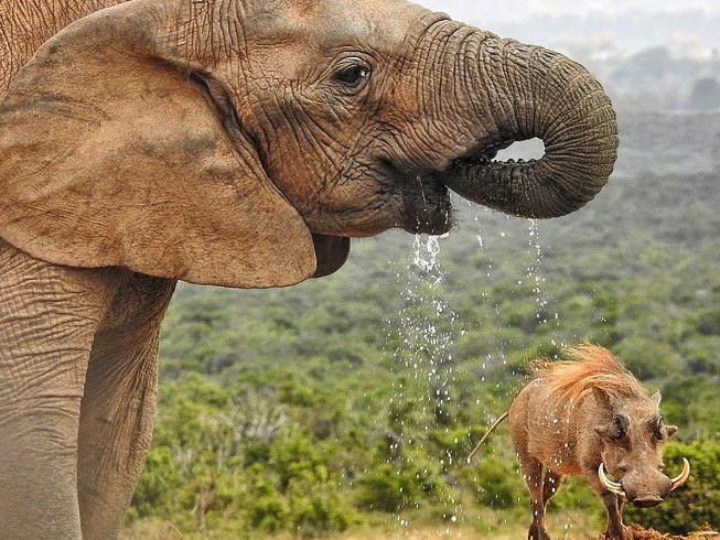 Cape Town to Johannesburg Safari via the Wild Coast