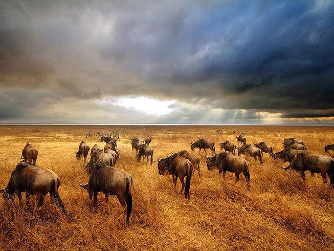 Safari, Culture, and Hiking