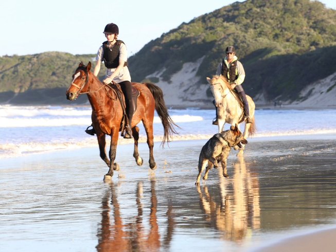 Tom and Tori's Horse Riding Holiday