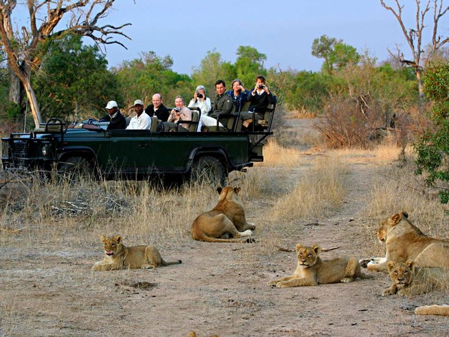 Kruger National Park Budget Safari