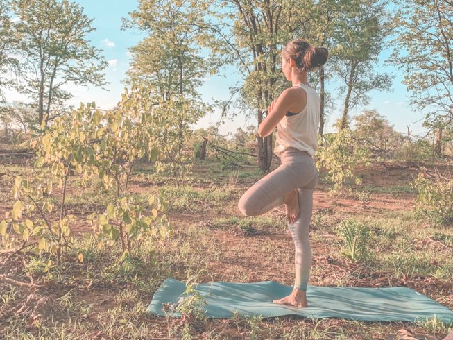 Yoga Retreat in Sigurwana Wilderness Reserve