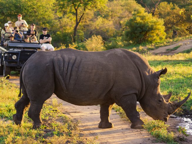 Luxury Kruger Park Safari and Panorama Route