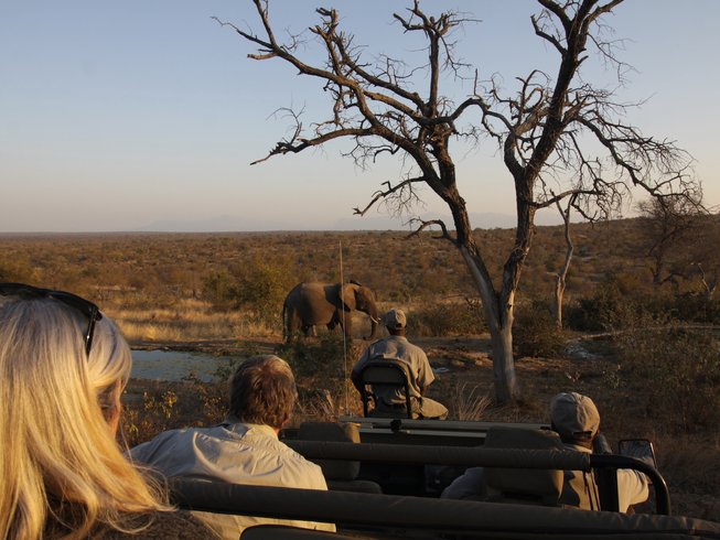 Bush and Rhino Safari