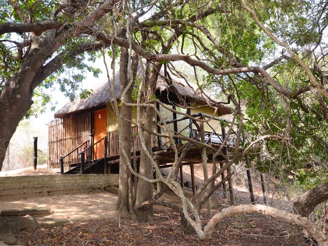 Lodge and Treehouse Safari