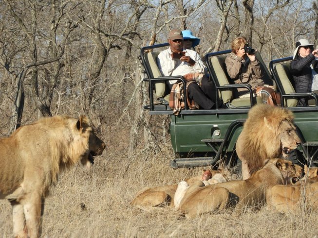 Kruger Park and Manyeleti Safari