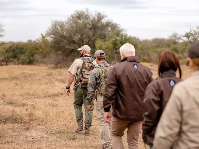 Luxury Game Drive and Walking Safari Experience