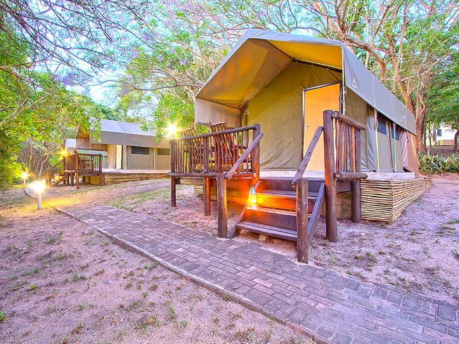 Kruger Big 5 Tented Safari