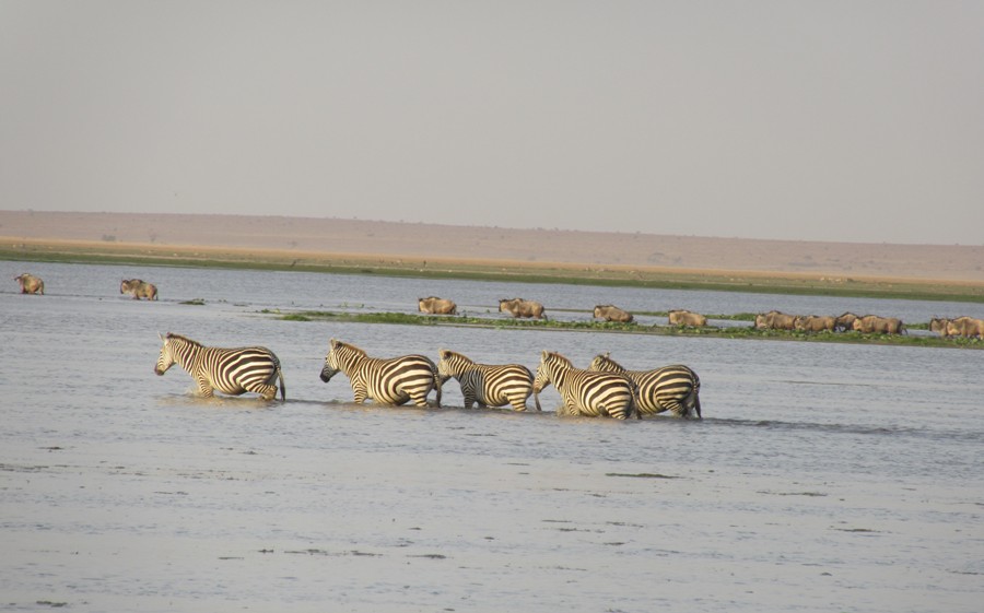 Amboseli & Tsavo West National Park Vacation