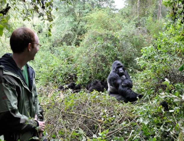 East African Safari, Wildebeest Migration & Mountain Gorillas