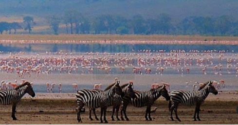 Mid-Range Serengeti Safari Tanzania