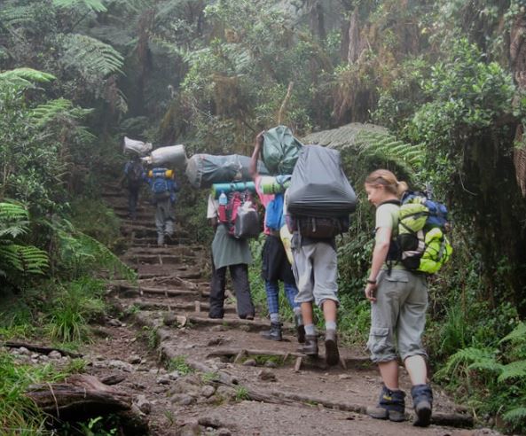 6 Day Marangu Trekking Route