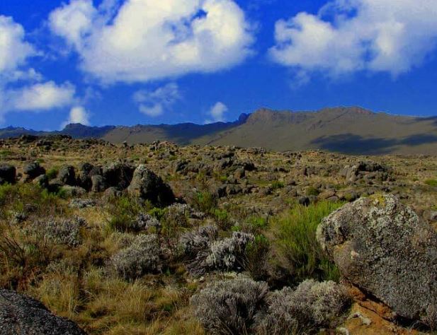 6 Day Machame Route