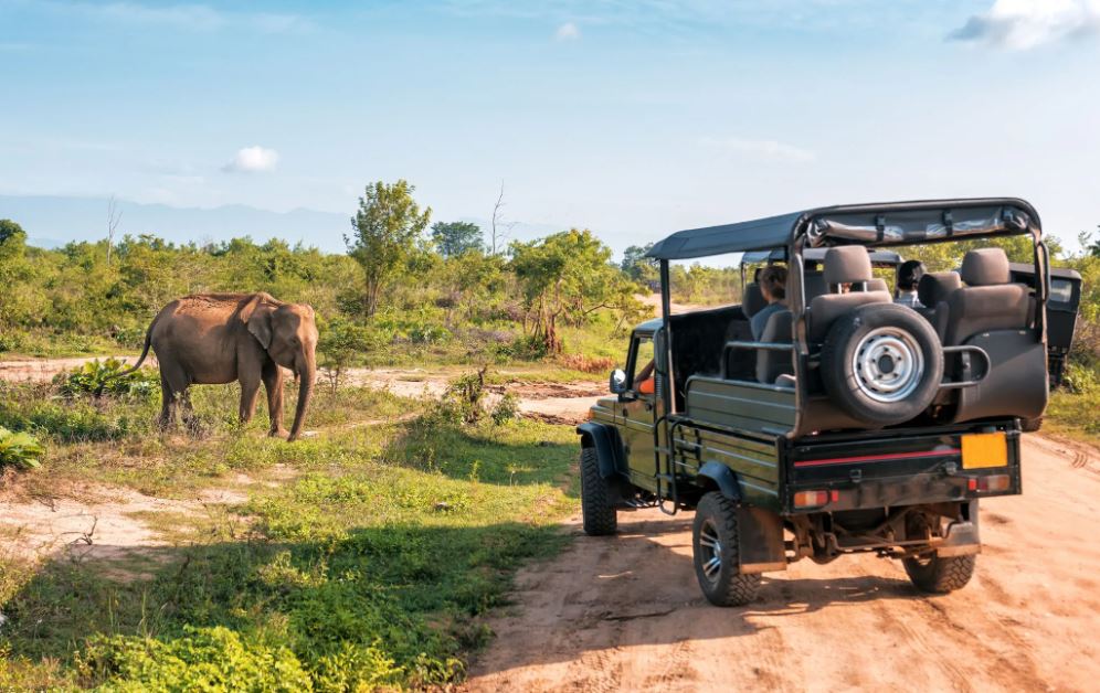 South Africa and Kenya’s Golf & Safari Experience