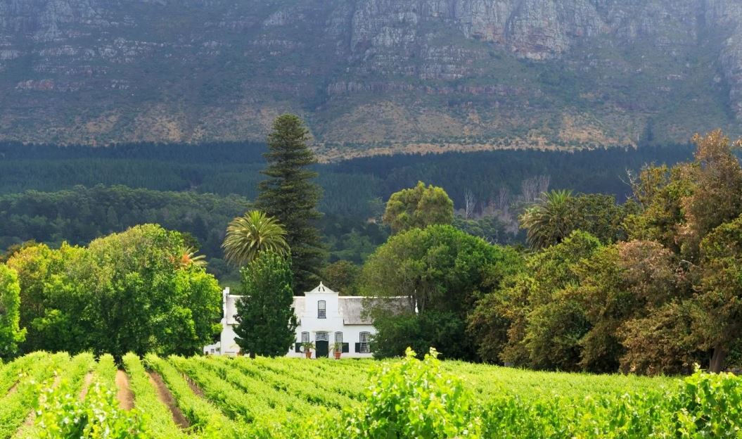 Incredible Cape Town and the Garden Route