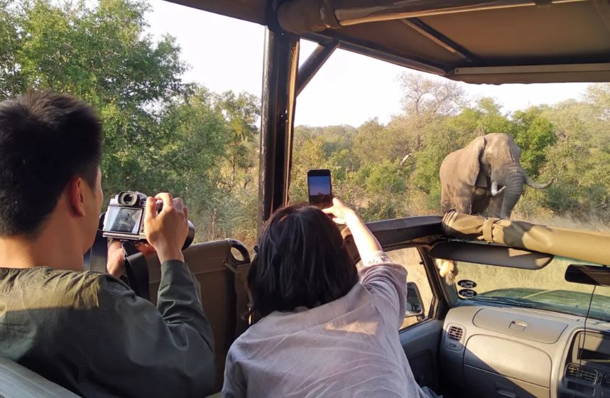 Kruger Park and Panorama Route Safari