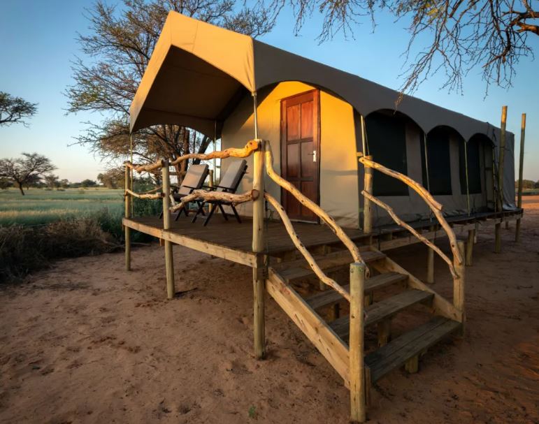 Wildlife Volunteer Safari