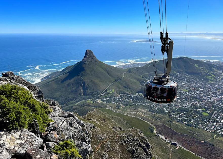 Cape Town and Kruger Park Safari