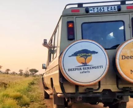 4 Days Tanzania Wildlife Safari