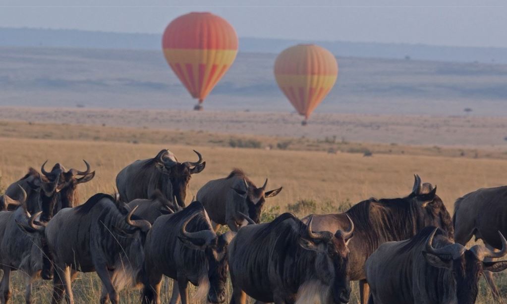 8 Day Wildebeest Migration Safari