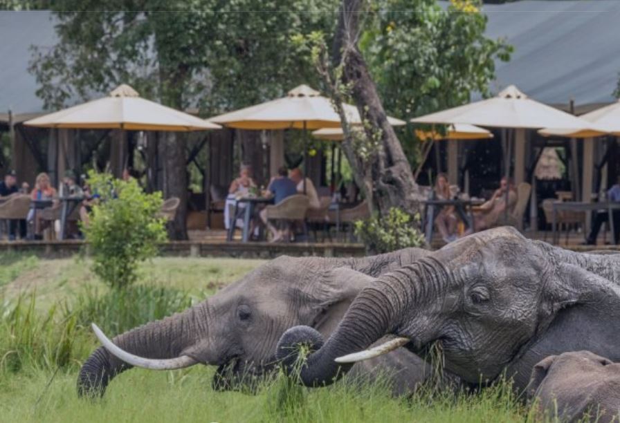 7 Day Great Rift Valley & Masai Mara Game Reserve