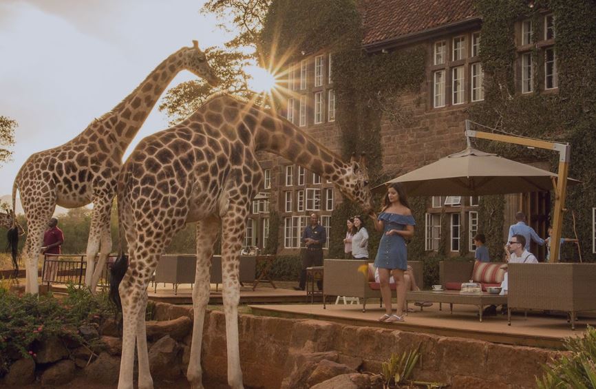 13 Day Wilderness Safaris & Beach