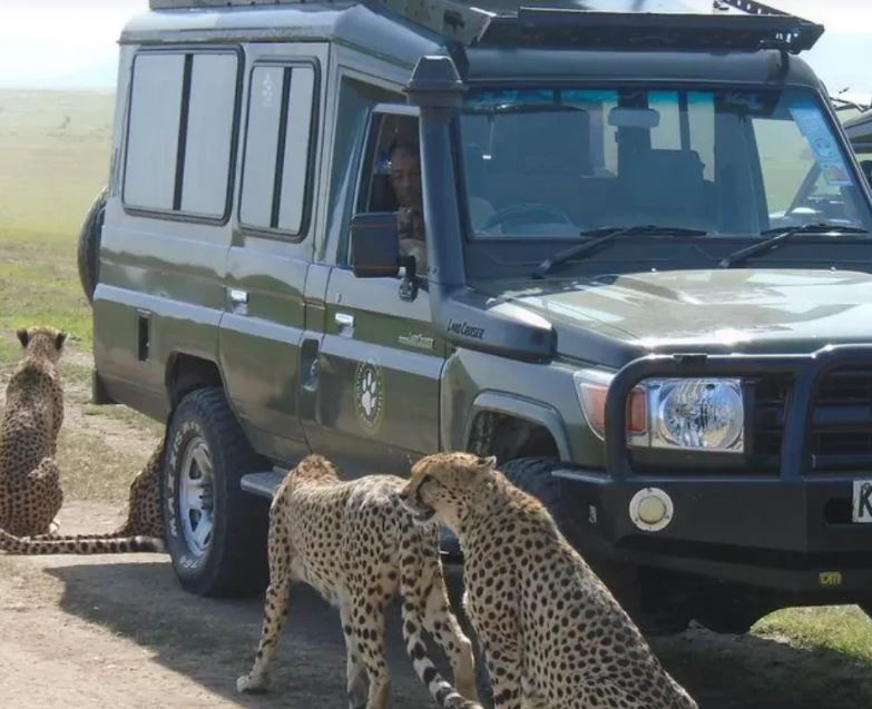 15 Days Kenya Tanzania Victoria Falls Holiday