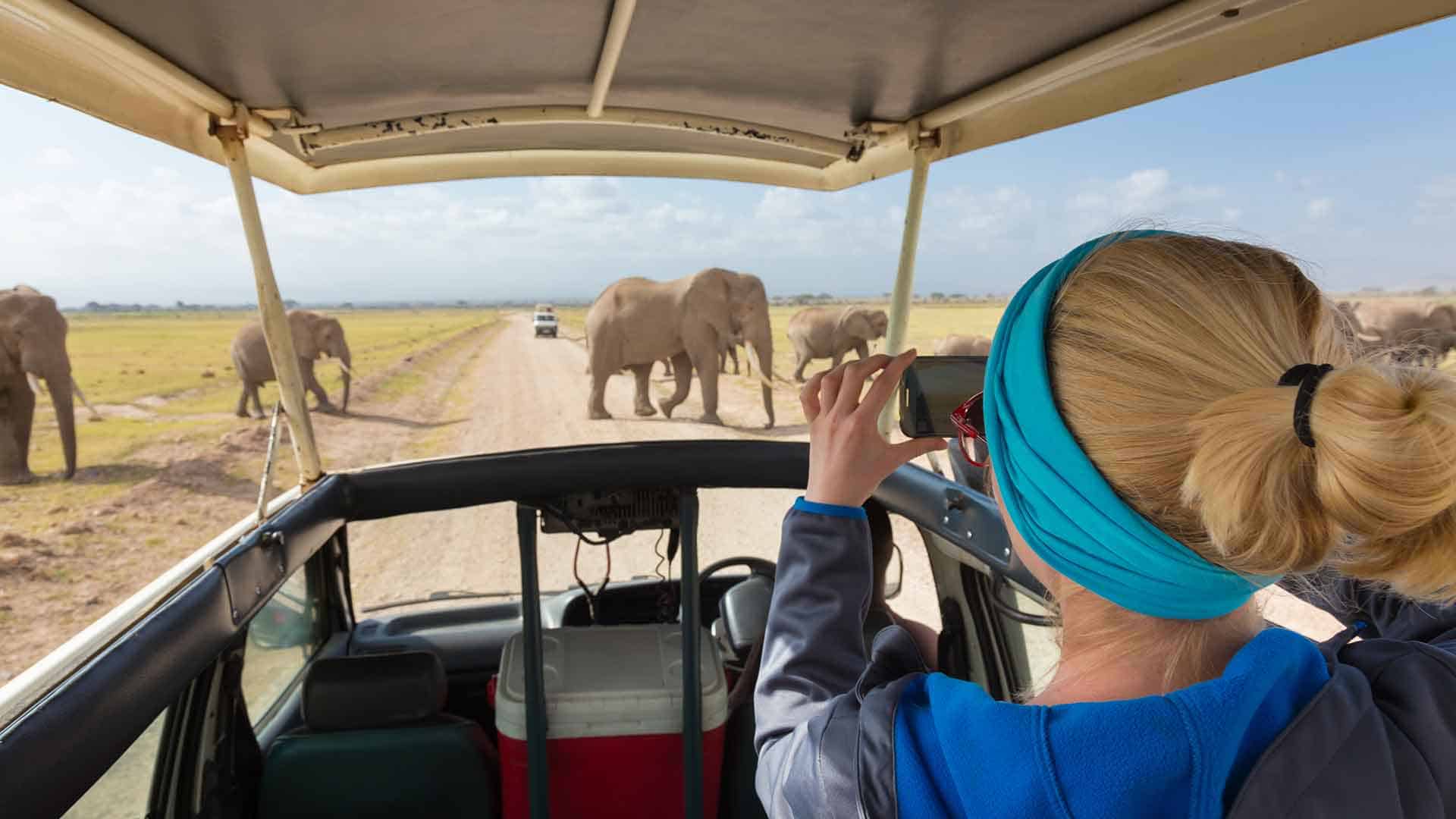 8 Day Safari Tour to Tanzania - Captivating Wilderness