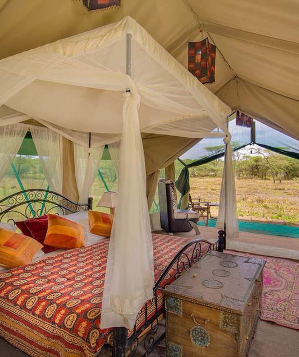 Africa Predators Photographic Safari Package