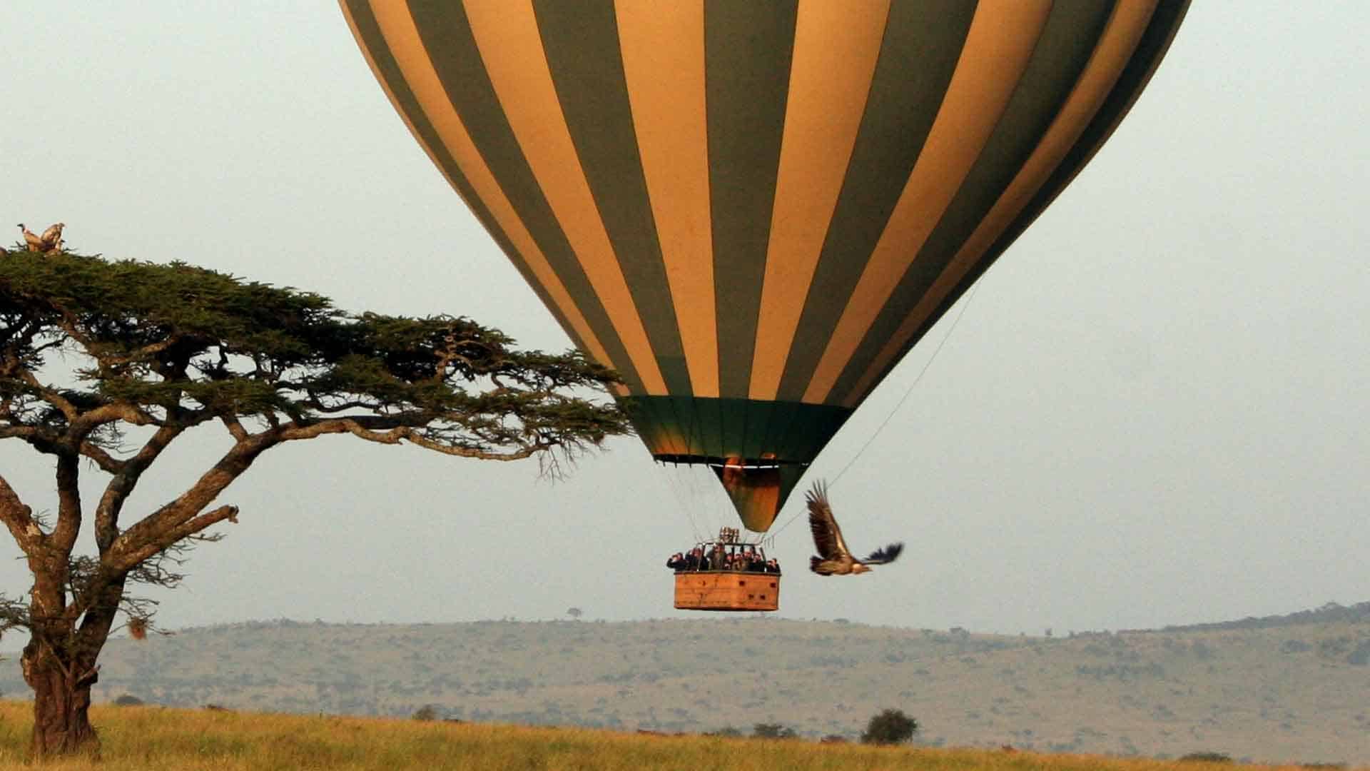 7 Day Awe-Inspiring Safari Tour to Serengeti