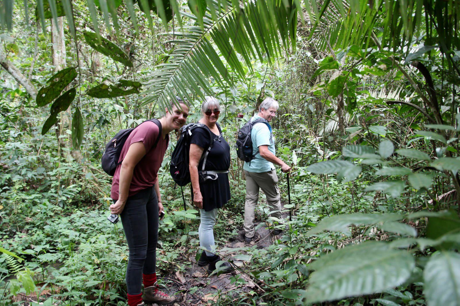 Gorilla Trekking Safari