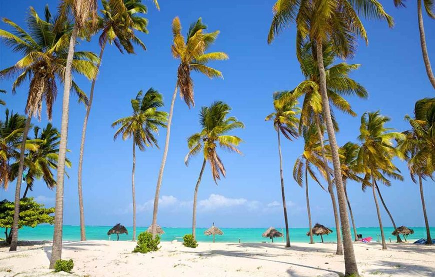 Kenya Safari & Zanzibar Beach Experience