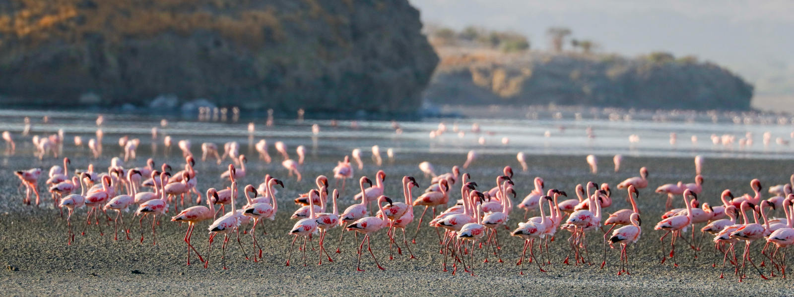 Trek Ngorongoro Crater Rim & Safari In Lake Manyara & Tarangire