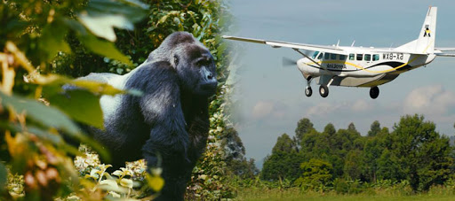 2 Day Gorilla Flying Safari